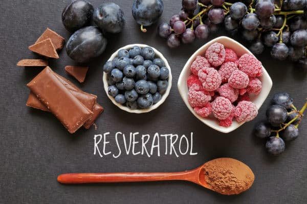 Foods rich in resveratrol. Resveratrol is a powerful antioxidant. Grape, plum, blueberry, raspberry, dark chocolate, and cocoa powder as natural sources of resveratrol and antioxidants. Healthy diet.
